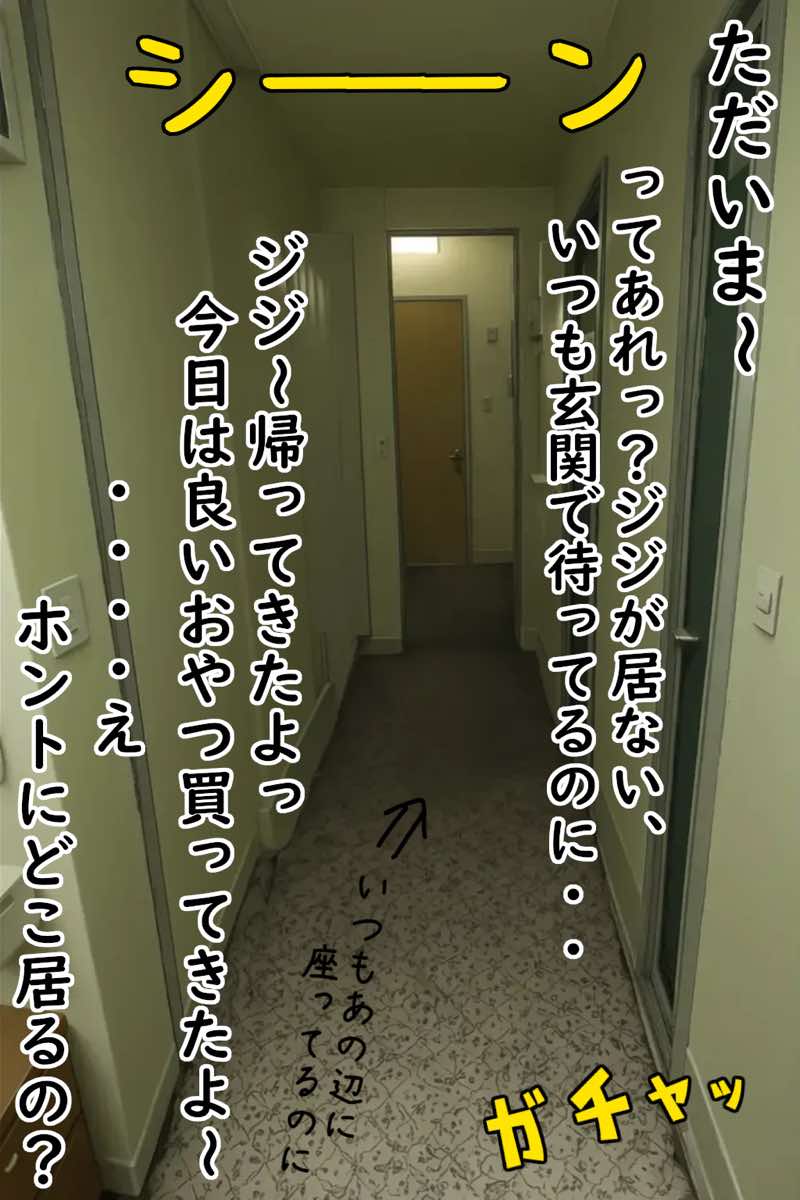 巨乳飼い主の愛犬がキモいおじさん（人間）になったから元の姿に戻す為、言われるままにご奉仕したけど、実はストーカーおやじだった件  前編（愛撫編） 試し読み13