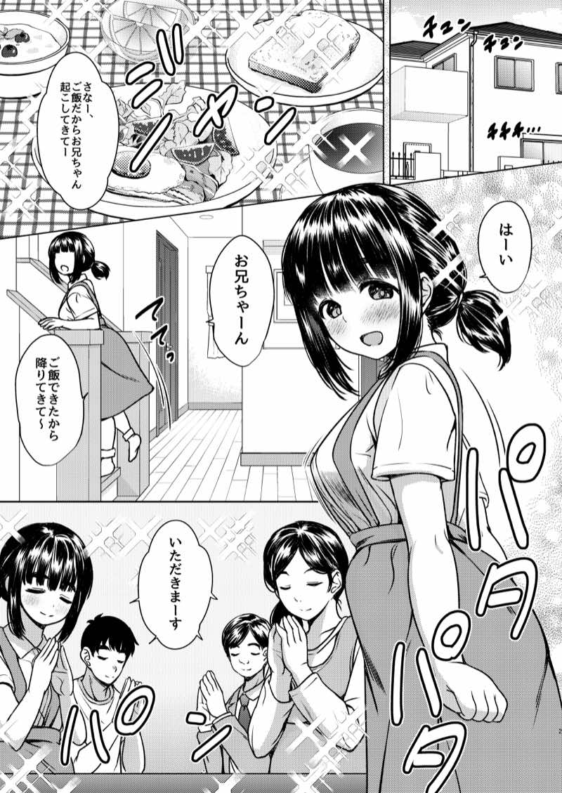 兄妹が終わる時  〜可愛く成長した妹に壊れた兄が手を出すまで〜 試し読み2
