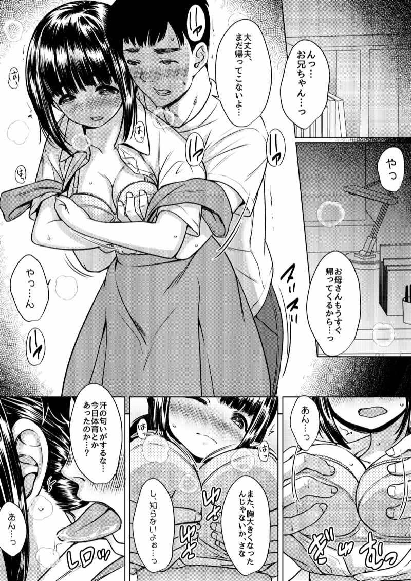 兄妹が終わる時  〜可愛く成長した妹に壊れた兄が手を出すまで〜 試し読み4